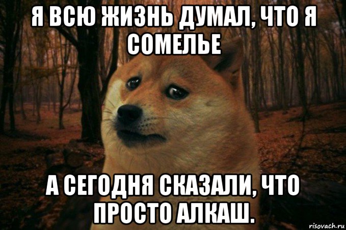 я всю жизнь думал, что я сомелье а сегодня сказали, что просто алкаш., Мем SAD DOGE