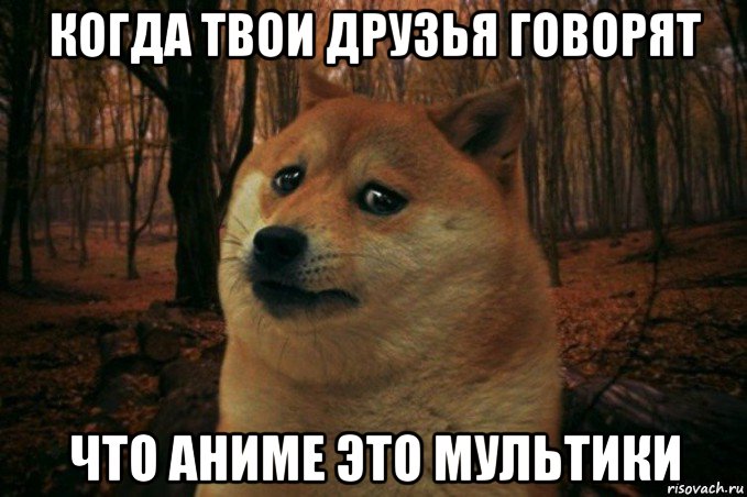 когда твои друзья говорят что аниме это мультики, Мем SAD DOGE