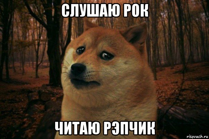 слушаю рок читаю рэпчик, Мем SAD DOGE