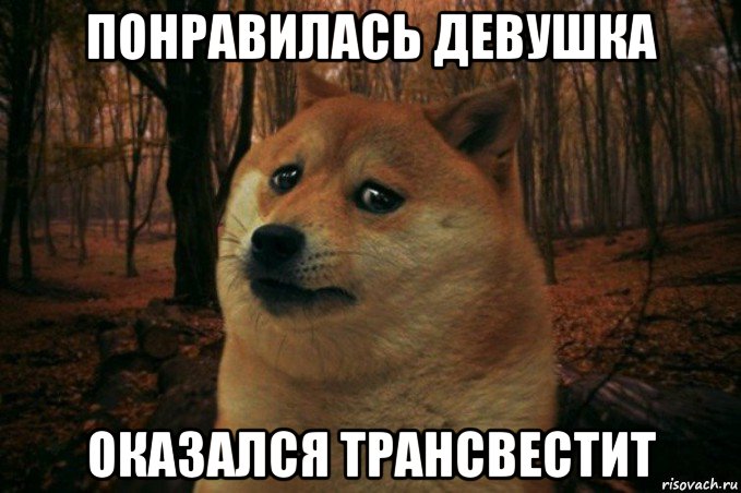 понравилась девушка оказался трансвестит, Мем SAD DOGE