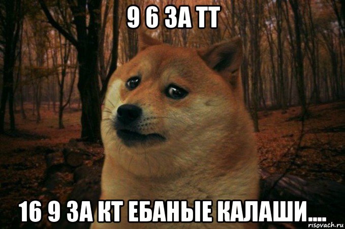 9 6 за тт 16 9 за кт ебаные калаши...., Мем SAD DOGE