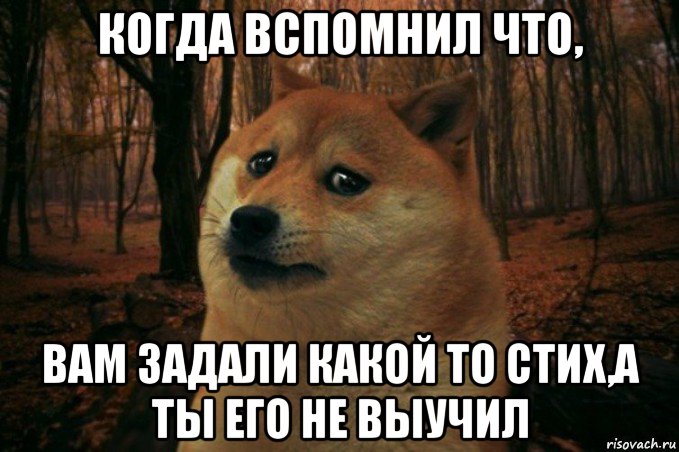 когда вспомнил что, вам задали какой то стих,а ты его не выучил, Мем SAD DOGE