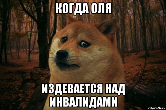 когда оля издевается над инвалидами, Мем SAD DOGE