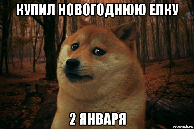 купил новогоднюю елку 2 января, Мем SAD DOGE