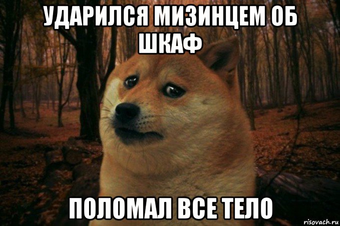 ударился мизинцем об шкаф поломал все тело, Мем SAD DOGE