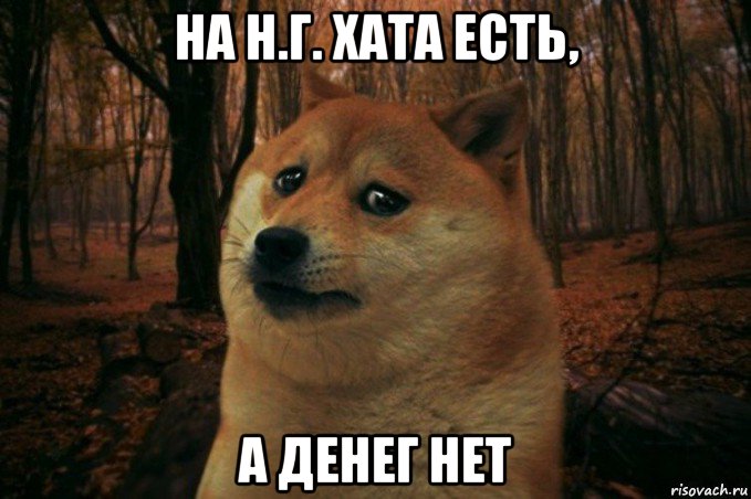 на н.г. хата есть, а денег нет, Мем SAD DOGE