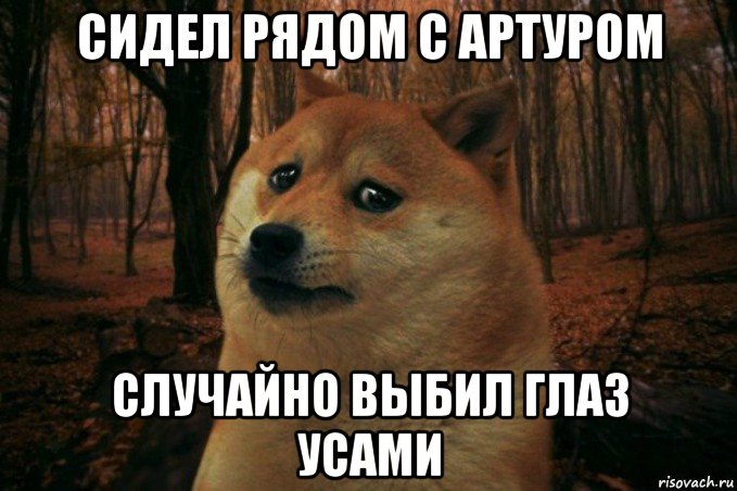 сидел рядом с артуром случайно выбил глаз усами, Мем SAD DOGE