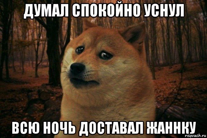 думал спокойно уснул всю ночь доставал жаннку, Мем SAD DOGE