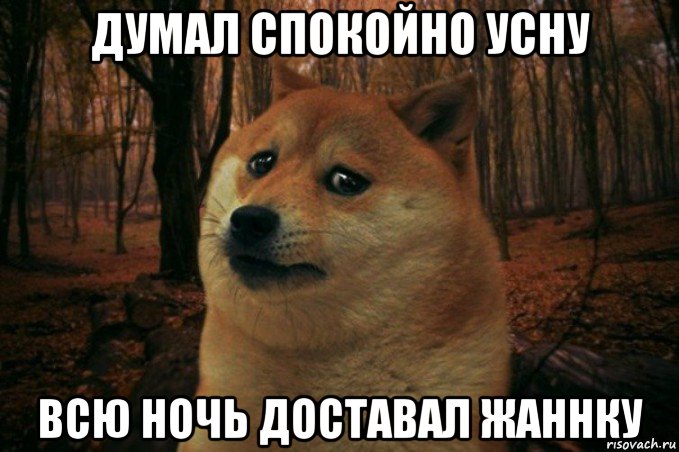 думал спокойно усну всю ночь доставал жаннку, Мем SAD DOGE