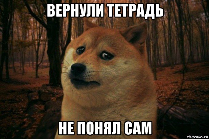 вернули тетрадь не понял сам, Мем SAD DOGE