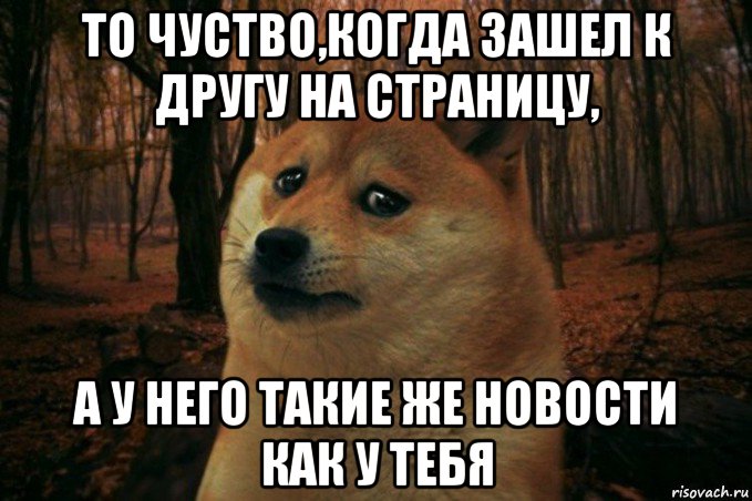 то чуство,когда зашел к другу на страницу, а у него такие же новости как у тебя, Мем SAD DOGE