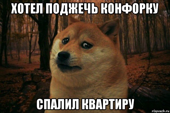 хотел поджечь конфорку спалил квартиру, Мем SAD DOGE