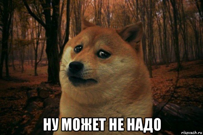  ну может не надо, Мем SAD DOGE