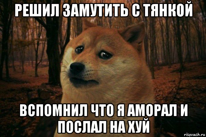 решил замутить с тянкой вспомнил что я аморал и послал на хуй, Мем SAD DOGE