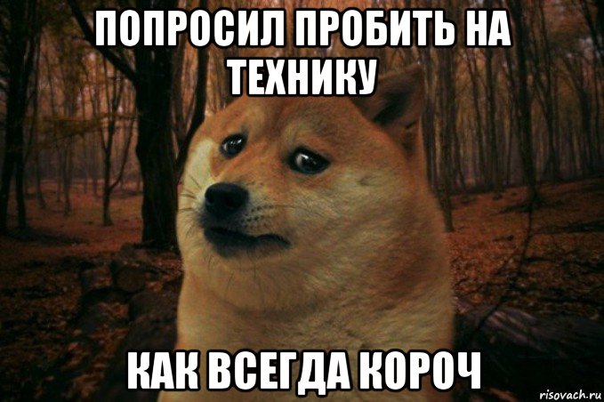 попросил пробить на технику как всегда короч, Мем SAD DOGE