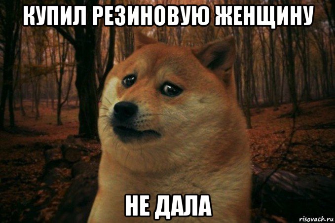 купил резиновую женщину не дала, Мем SAD DOGE