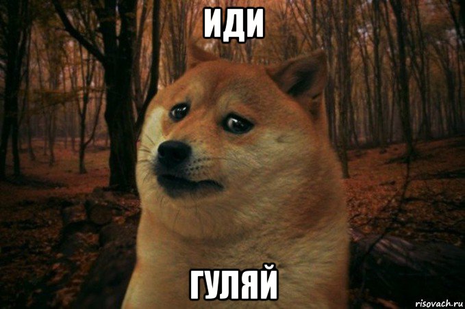 иди гуляй, Мем SAD DOGE