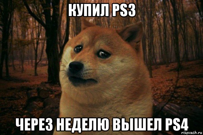 купил ps3 через неделю вышел ps4, Мем SAD DOGE