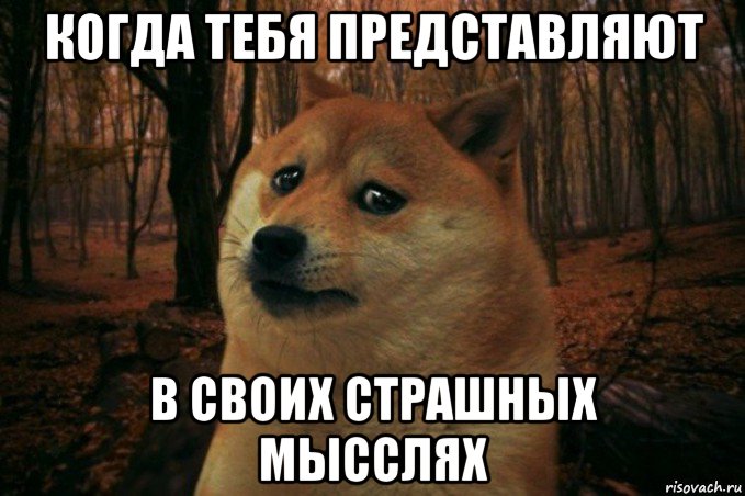 когда тебя представляют в своих страшных мысслях, Мем SAD DOGE