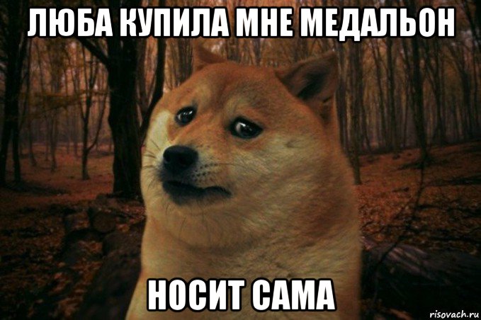 люба купила мне медальон носит сама, Мем SAD DOGE