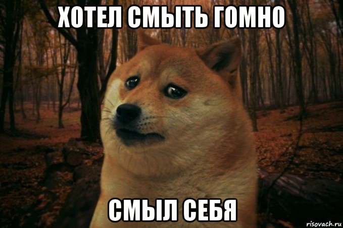 хотел смыть гомно смыл себя, Мем SAD DOGE