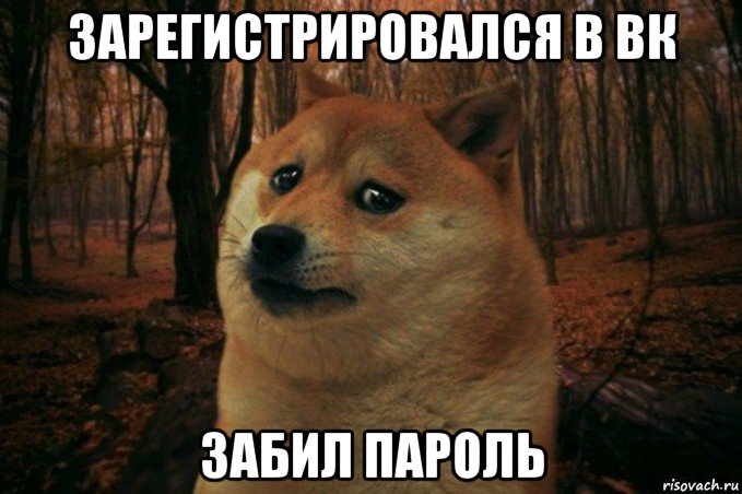 зарегистрировался в вк забил пароль, Мем SAD DOGE