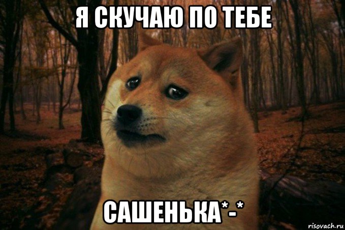 я скучаю по тебе сашенька*-*, Мем SAD DOGE