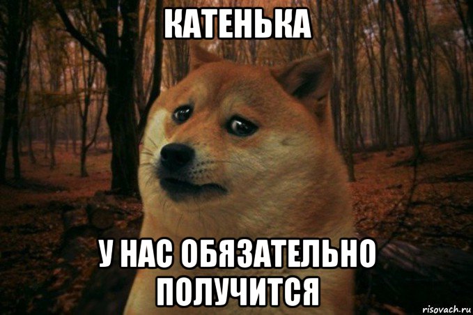 катенька у нас обязательно получится, Мем SAD DOGE