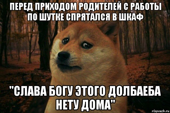 перед приходом родителей с работы по шутке спрятался в шкаф "слава богу этого долбаеба нету дома", Мем SAD DOGE