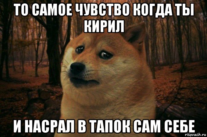 то самое чувство когда ты кирил и насрал в тапок сам себе, Мем SAD DOGE