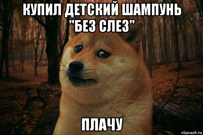 купил детский шампунь "без слез" плачу, Мем SAD DOGE