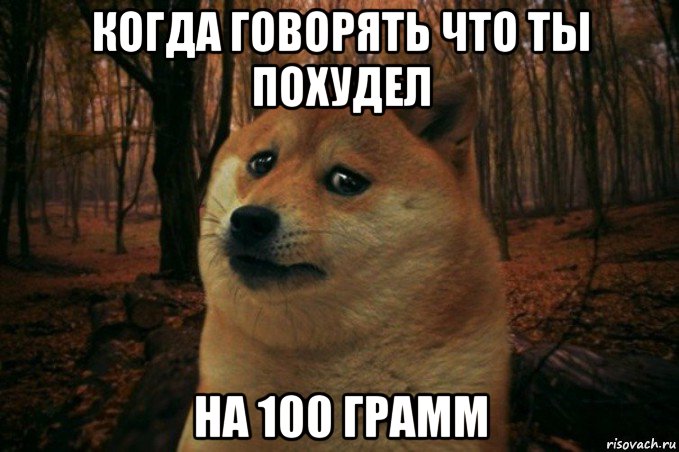 когда говорять что ты похудел на 100 грамм, Мем SAD DOGE