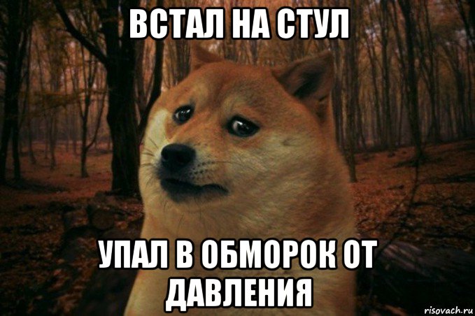 встал на стул упал в обморок от давления, Мем SAD DOGE