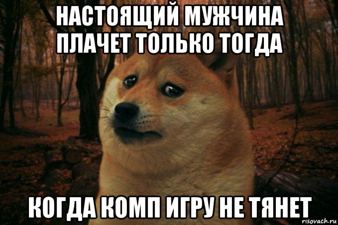 настоящий мужчина плачет только тогда когда комп игру не тянет, Мем SAD DOGE