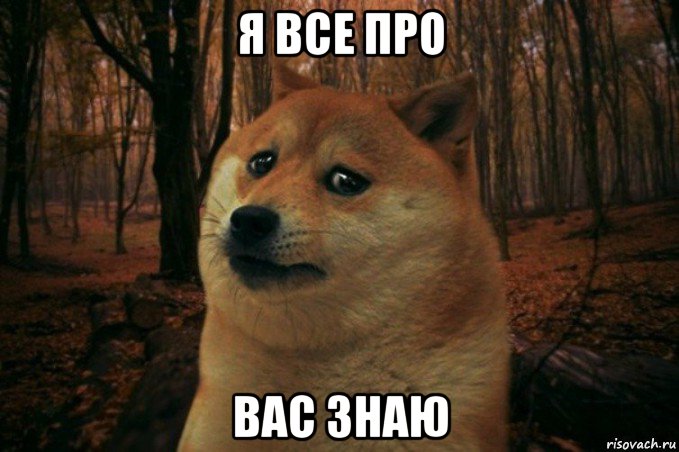 я все про вас знаю, Мем SAD DOGE