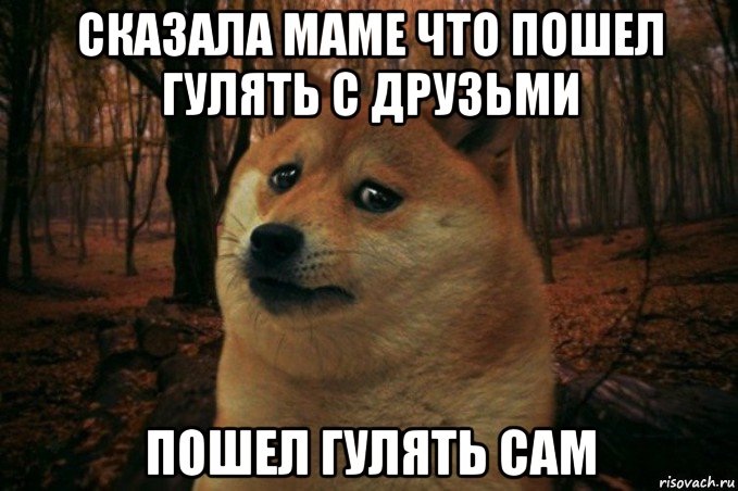 сказала маме что пошел гулять с друзьми пошел гулять сам, Мем SAD DOGE