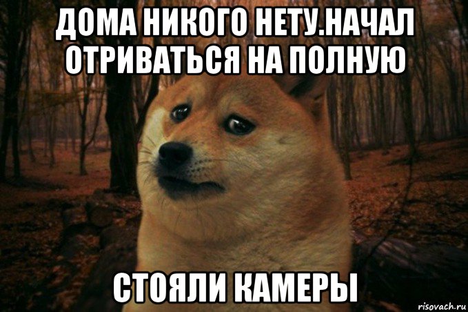 дома никого нету.начал отриваться на полную стояли камеры, Мем SAD DOGE