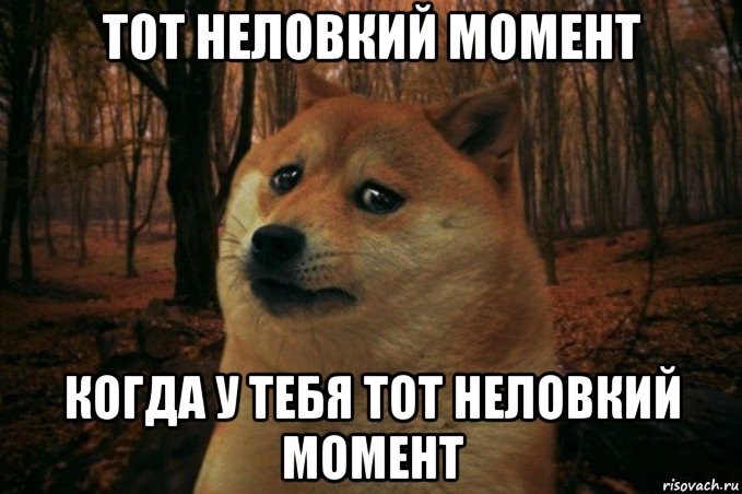 тот неловкий момент когда у тебя тот неловкий момент, Мем SAD DOGE