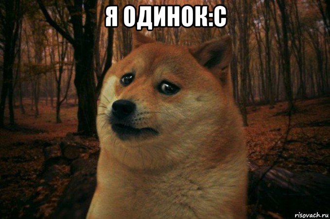 я одинок:c , Мем SAD DOGE