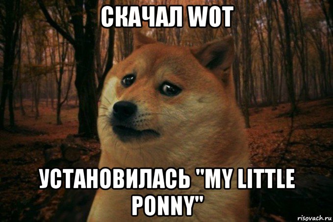 скачал wot установилась "my little ponny", Мем SAD DOGE