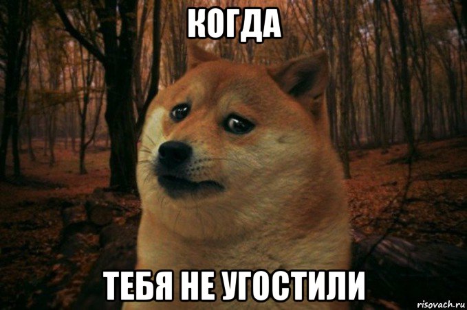 когда тебя не угостили, Мем SAD DOGE