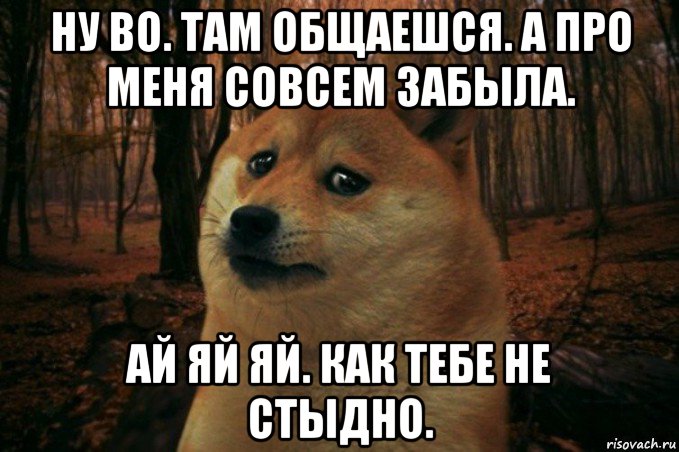 ну во. там общаешся. а про меня совсем забыла. ай яй яй. как тебе не стыдно., Мем SAD DOGE