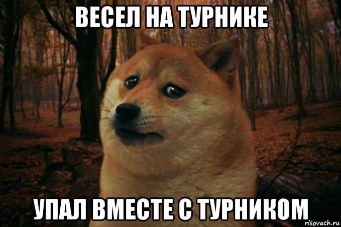 весел на турнике упал вместе с турником, Мем SAD DOGE