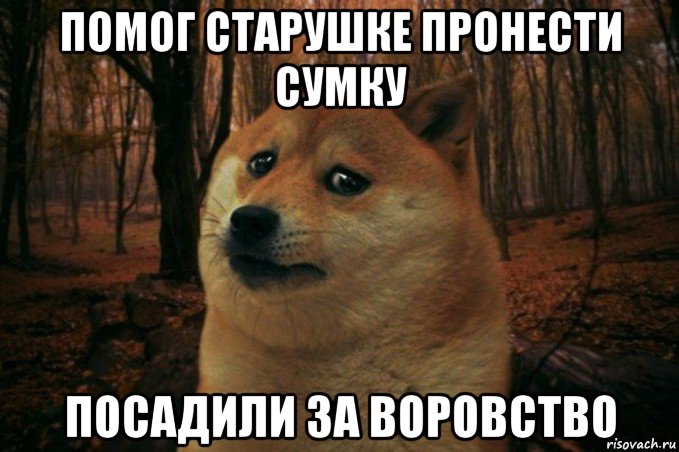 помог старушке пронести сумку посадили за воровство, Мем SAD DOGE