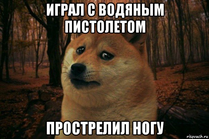 играл с водяным пистолетом прострелил ногу, Мем SAD DOGE