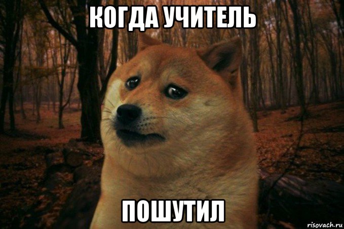 когда учитель пошутил, Мем SAD DOGE