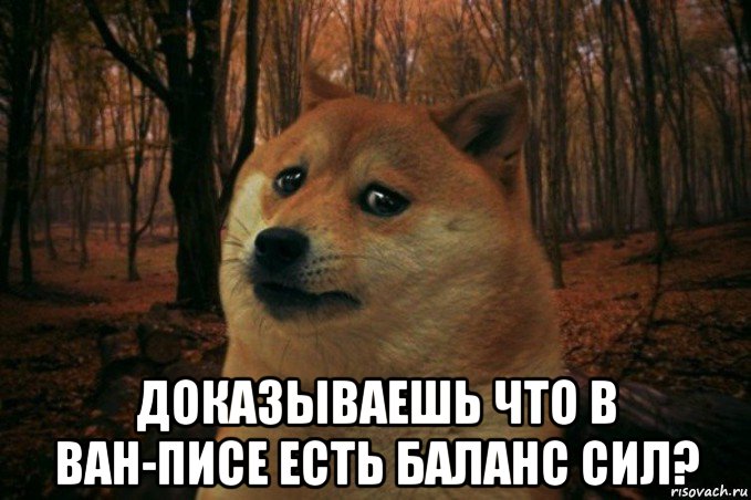  доказываешь что в ван-писе есть баланс сил?, Мем SAD DOGE