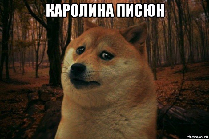 каролина писюн , Мем SAD DOGE