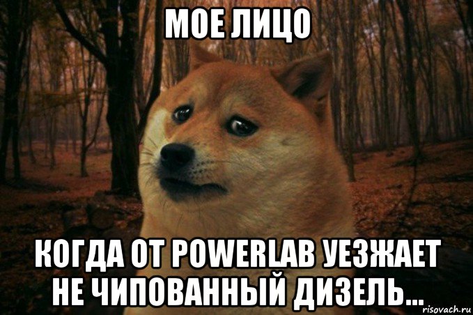 мое лицо когда от powerlab уезжает не чипованный дизель..., Мем SAD DOGE