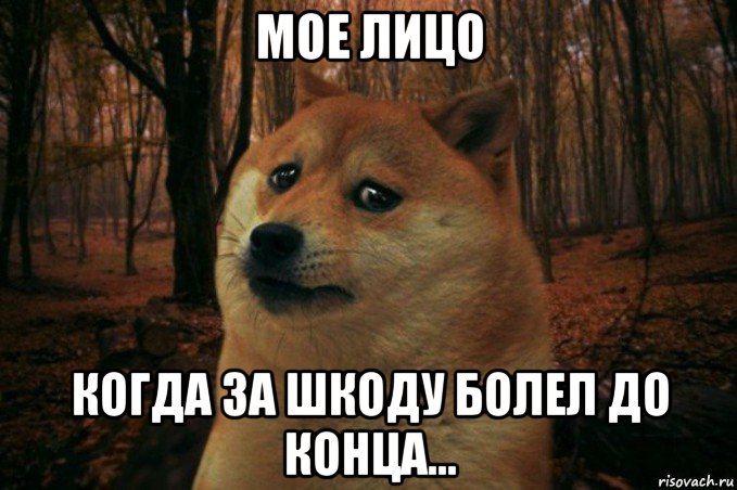 мое лицо когда за шкоду болел до конца..., Мем SAD DOGE